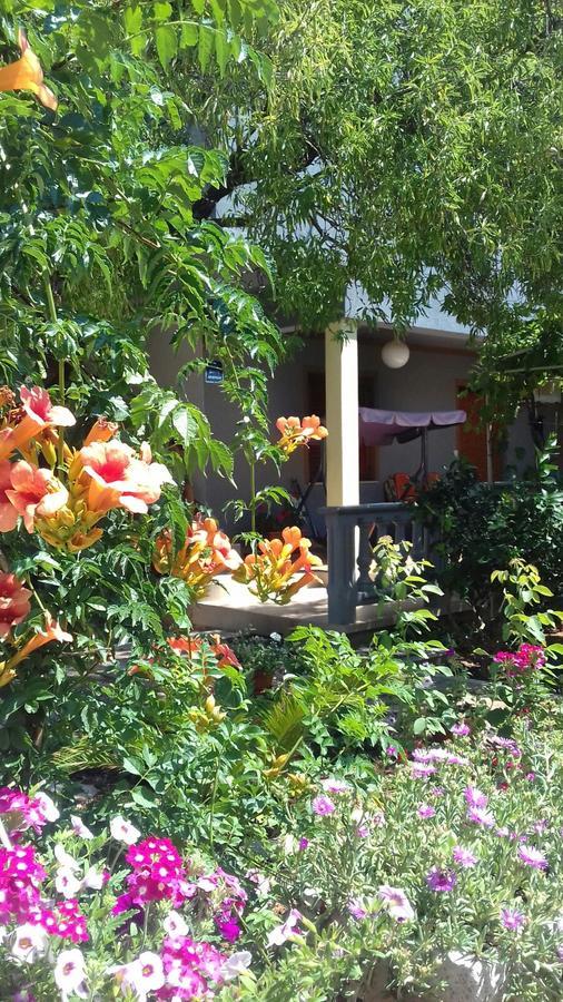 Apartman Bojana Διαμέρισμα Starigrad Paklenica Εξωτερικό φωτογραφία